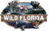 Wild Florida Park & Airboat Rides