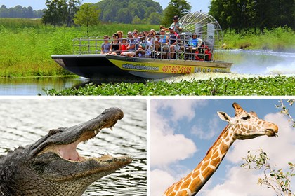 Wild Florida - Everglades Wildlife Park & Airboat Rides 