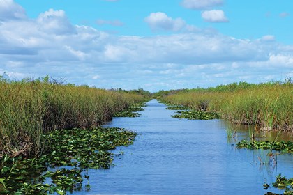 Miami Sightseeing & Everglades Airboat Combo Miami Sightseeing & Everglades Airboat Combo
