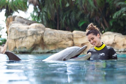 Discovery Cove® Day Experience 