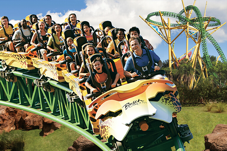 My Wild Adventure at Busch Gardens Tampa - Tripster Travel Guide