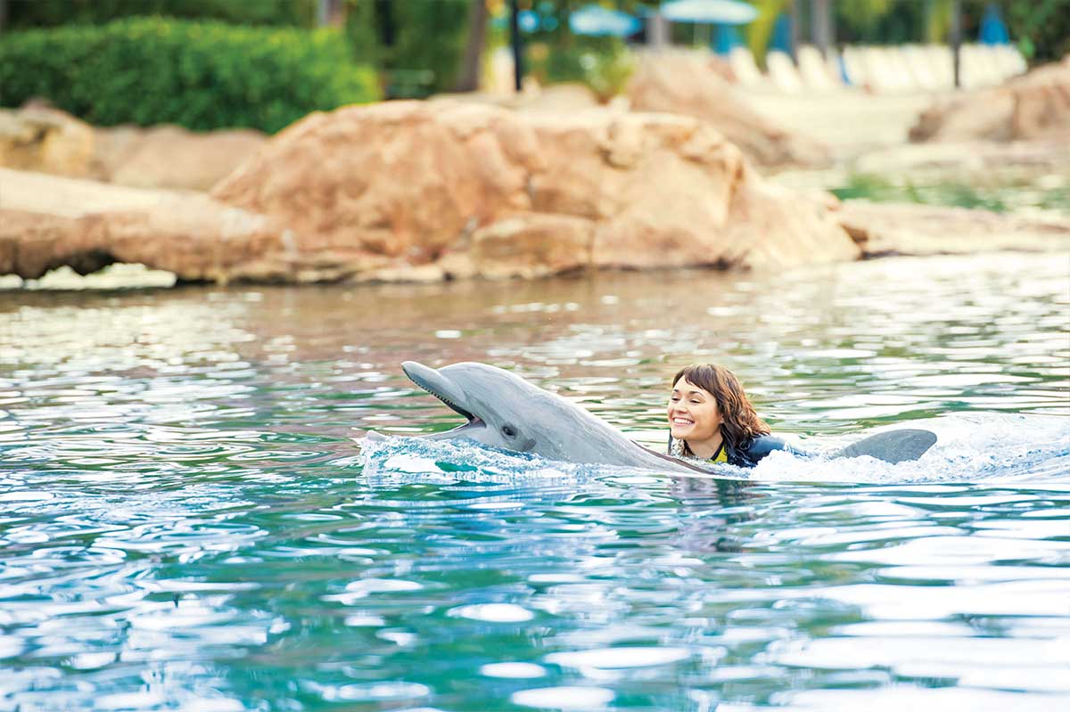 Discovery Cove Trip Tickets Printable Ticket Digital 