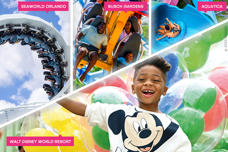 Disney & SeaWorld Combo
