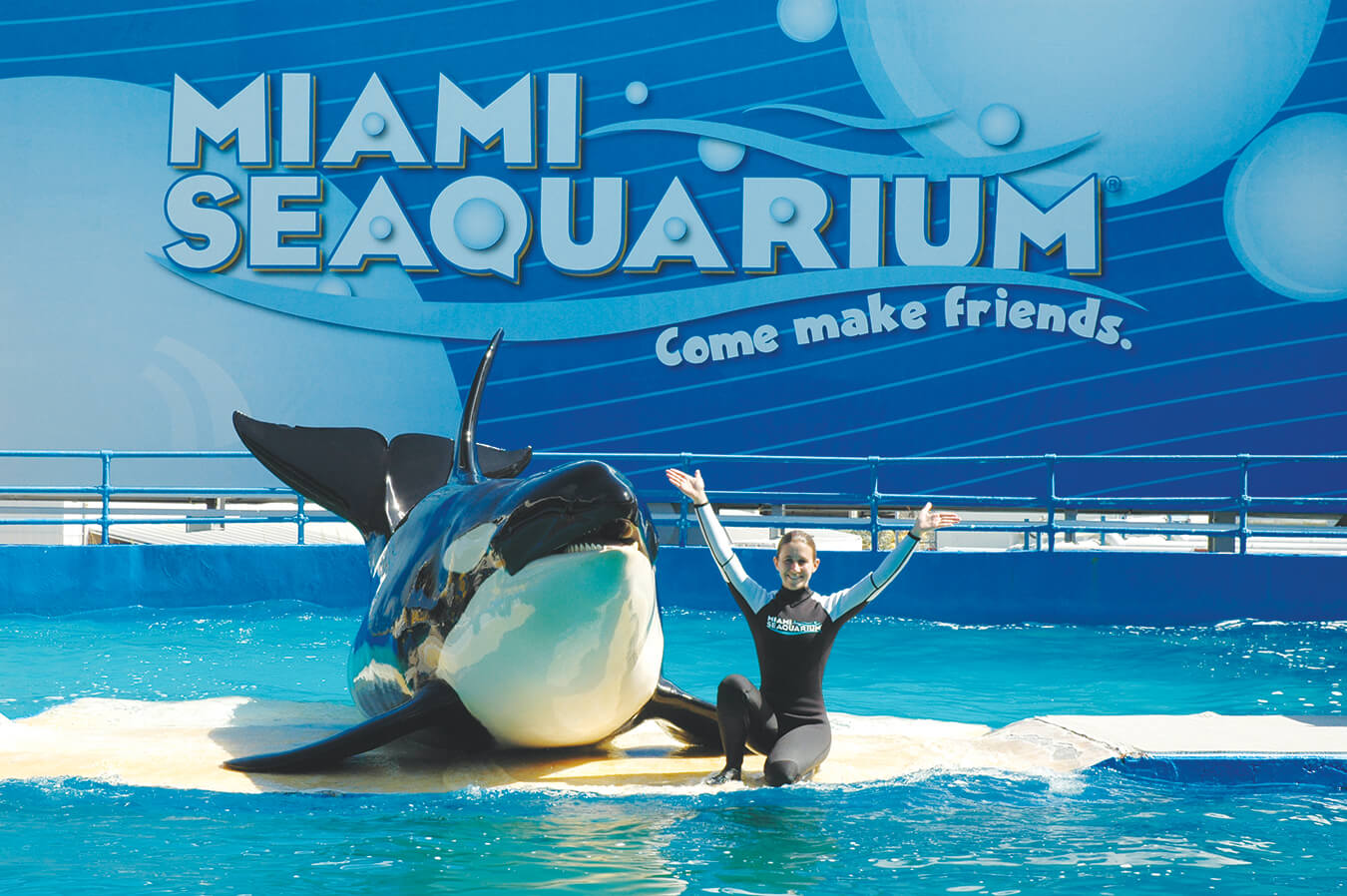 Book the Miami Swim with Dolphins Experience - FloridaTix