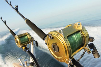 Sport Fishing - from Miami 