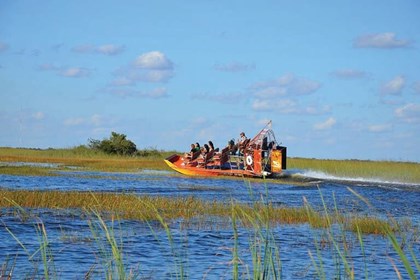 Everglades Airboat Ride - Biscayne from Miami  