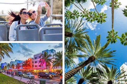 Miami City Tour 