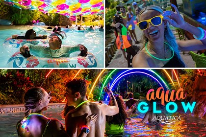 Aquatica Orlando AquaGlow After Hours 