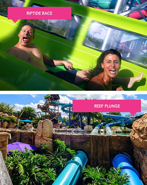 Riptide Race and Reef Plunge