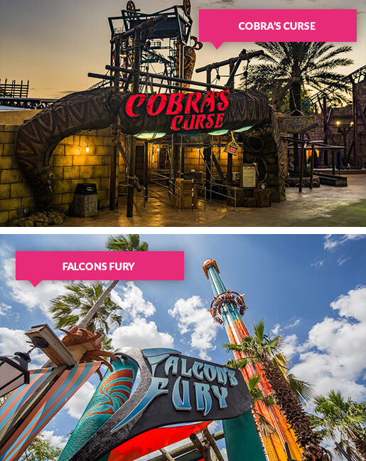 The Cobras Curse and Falcon Fury rides at Busch Gardens