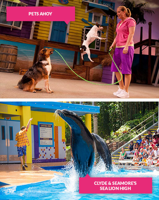 Pets Ahoy and Clyde and Seamore shows at SeaWorld