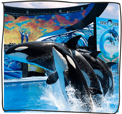 SeaWorld