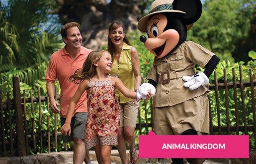 Safari Minnie and family at Animal Kingdom