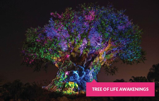 Tree of Life Awakenings