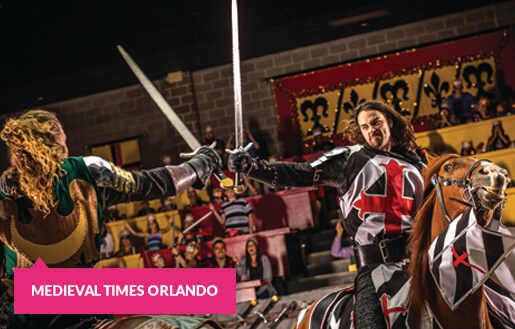 Mounted sword fight at the Medieval Times Orlando Dinner Show