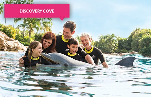 Dolphin Swim at Discovery Cove