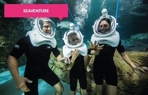 SeaVenture at Discovery Cove