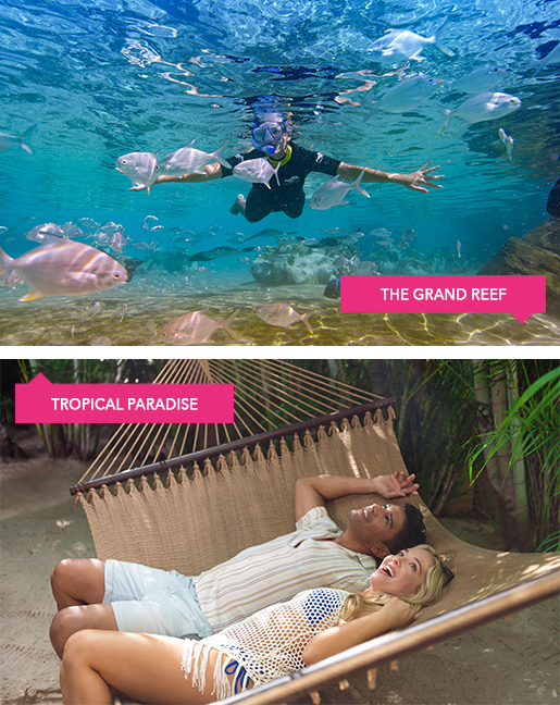 Snorkelling in the Grand Reef and girl with birds at the Explorer Aviary