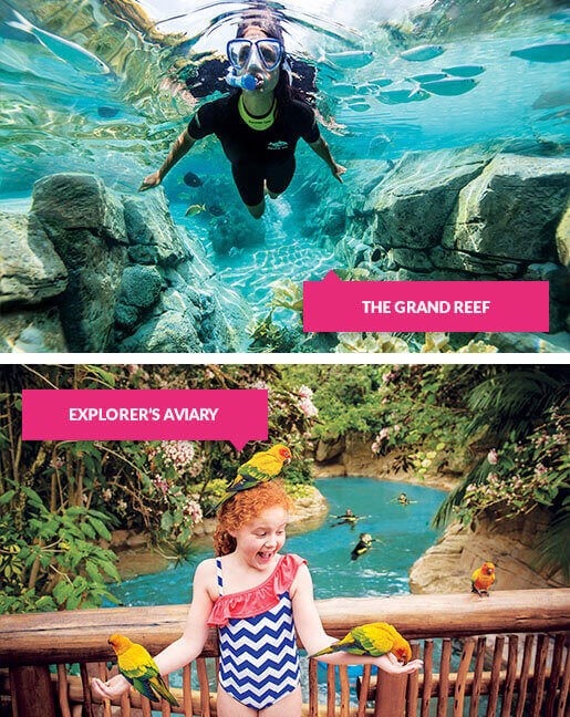 Snorkelling in the Grand Reef and girl with birds at the Explorer Aviary