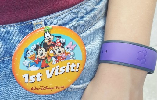 My disney experience magic bands