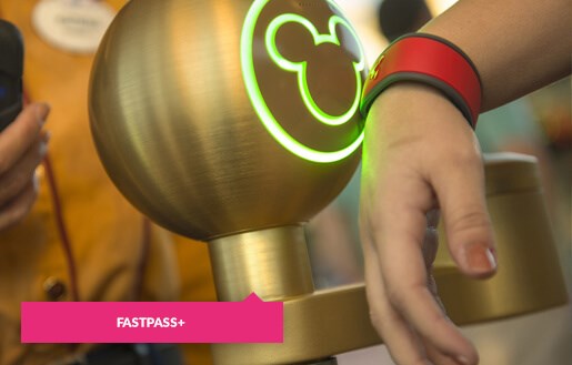 Scan your Magic Band