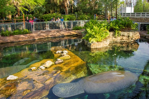 SeaWorld's Green Future