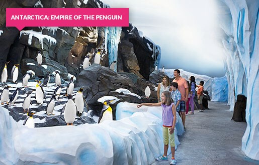 Antarctica: Empire of the Penguin at SeaWorld